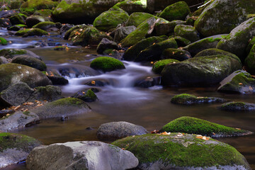 Naklejka na ściany i meble Small forest creek with round boulders covered by green moss. Long exposure effect.