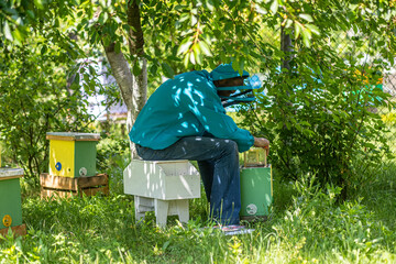 Beekeeper holding a small Nucleus with a young queen bee. Breeding of queen bees. Beeholes with honeycombs. Preparation for artificial insemination bees. Natural economy. Queen Bee Cages