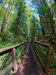 Fototapeta premium Old abandoned concrete constructions covered with moss in the forest area of Tod Inlet in Victoria BC