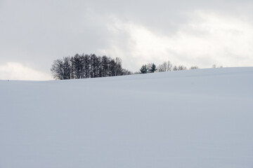 美瑛町の冬景色