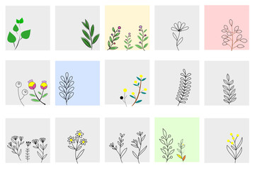 Set of natural plants in the square background. Natural floral and tree branches line painting in vector pattern.