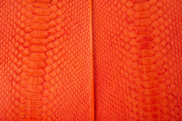 Orange color snake skin leather texture background