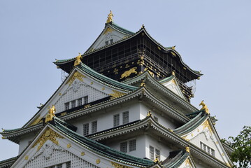 Fototapeta premium 大阪城天守閣