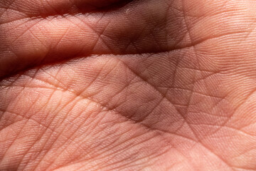 Photo showing super detailed skin texture. Palm hand macro photography. High-resolution image.