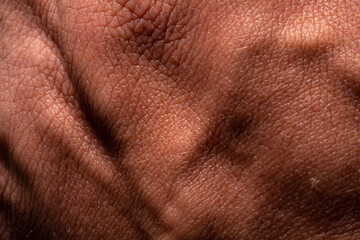 Photo showing super detailed skin texture. Hand macro photography. High-resolution image.