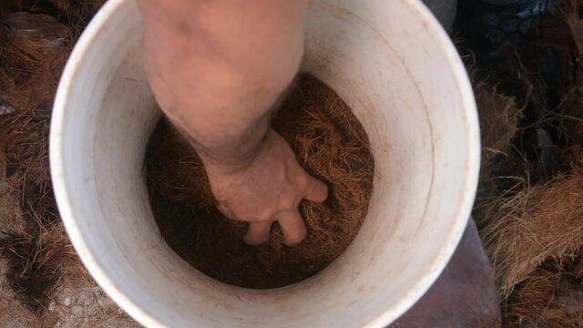 mean hand remove  coconut Dry coir fiver close up