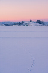 北海道の冬景色 夜明け前の農村風景
