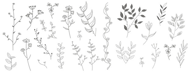 Set of Outline Floral doodle design elements isolated on white background