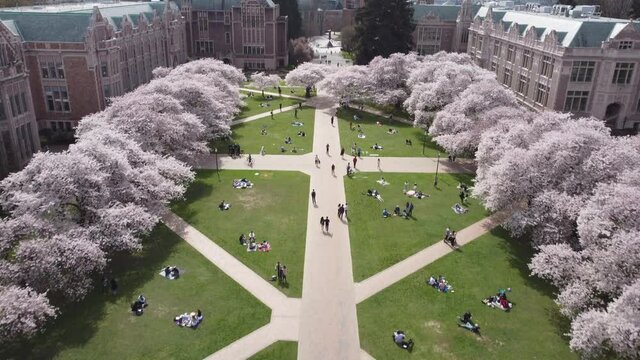 University of Washington in Seattle. Campus and school concept