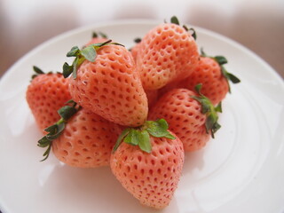 白いちご