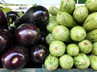 Fresh eggplants sold in open markets in Brazil
