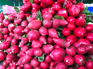 fresh radishes sold in open market in Brazil