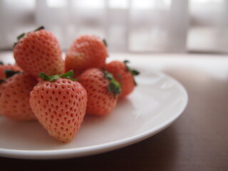 白いちご