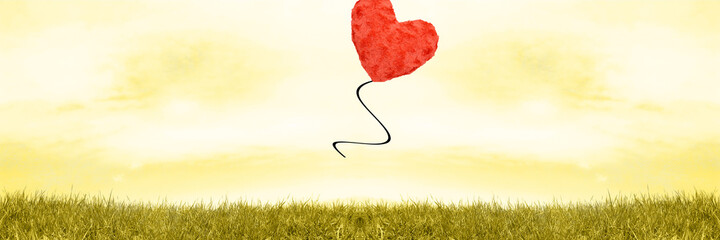red poppy field