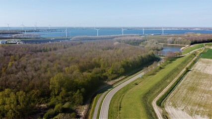 Road towards Willemstad in the Netherlands with in the background the volkerak on which industry sails and leisure sails. Afforestation in nature piece of green natural environment.