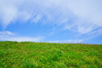青空　春の空模様　飛行機雲