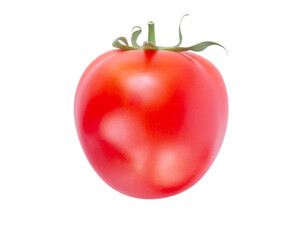 Set of fresh tomatoe isolated on white background, Raw food