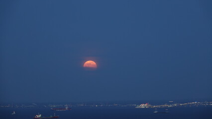 Pink Moon
