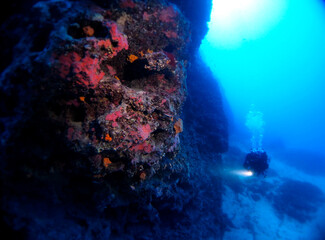 Naklejka na ściany i meble Scuba Diving Malta Gozo Comino