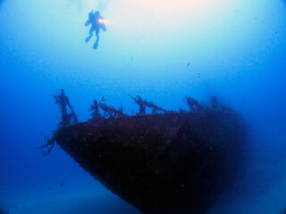 Scuba Diving Malta Gozo Comino