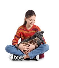 Cute girl with puppies on white background