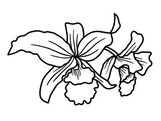 Hand drawing and sketch flower with line art illustration.