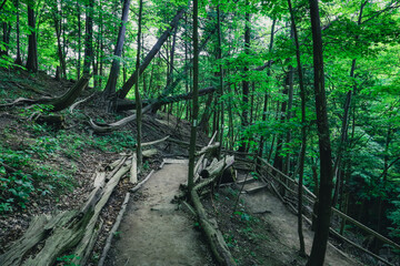 walking path in the hill forest. Nature background