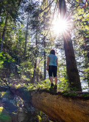 Adventurous Woman hiking on a fallen tree in a beautiful green rain forest during a sunny spring day. Taken in Squamish, North of Vancouver, British Columbia, Canada.