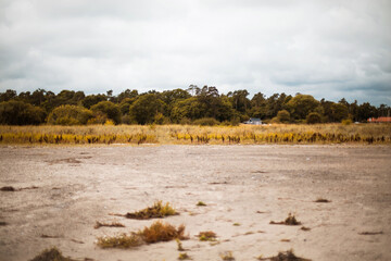 Nature. Landscape. No people.