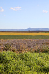 Views of the country town of Killarney in Queensland Australia.  With rolling hills and green paddocks