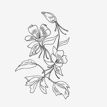 A flower in a linear style, a catchment. A decorative element for your design. Isolated flower on a white background. EPS10.