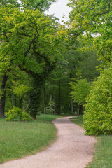 Fototapeta na wymiar winding pathway in park