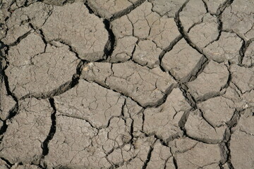 dry soil background