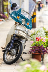 スクーターと鉢植え