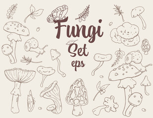 Fungi, Mushrooms retro-style Hand-drawn stroke Set with different cute mushrooms, snail, leaves, and Butterfly. For Textile, Wallpaper, Card design. Autumn mood, Forest life, mushrooms lover.