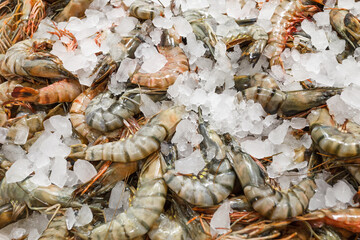 Tiger prawns on ice, fresh raw whole chilled, at the fish market.