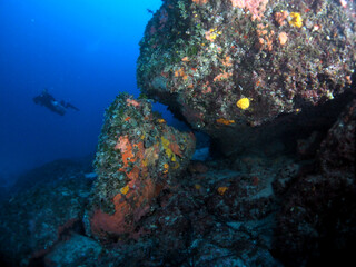 Scuba Diving Malta Gozo Comino