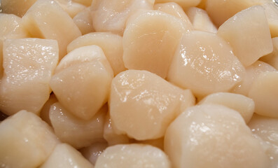 King scallop meat, fresh raw pieces chilled, at the fish market.
