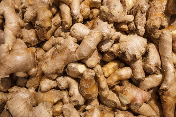 Ginger root unpeeled, whole, many piled in bulk, in food market.