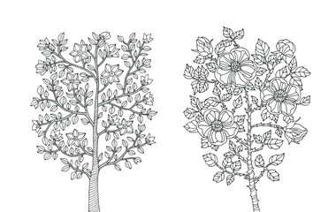 Blooming tree and wild roses bush. Vector zentangle, zen art. Coloring book page for adults, kids. Hand drawn artwork. Black and white. Vintage, retro style. Bohemian ethnic concept