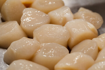 Fototapeta na wymiar King scallop meat, fresh raw many pieces chilled, at the fish market.