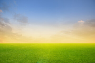 Field of green fresh grass on sunset or sunlight.