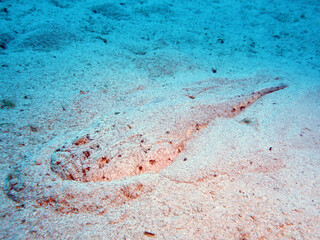 Scuba Diving Malta Gozo Comino
