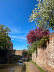 Fototapeta na wymiar Brick, high wall with flowering trees on the bank of the canal. 