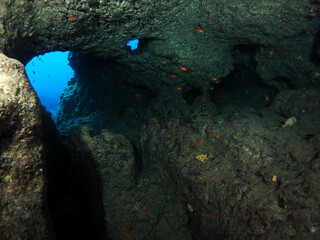 Scuba Diving Malta Gozo Comino