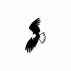 The eagle symbolizes power, freedom, courage and many 
characteristic qualities modern man aspires. 
The logo is designed in the classic negative space style 