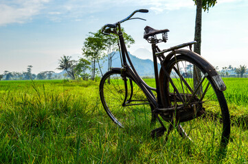 Plakat bicycle in the field