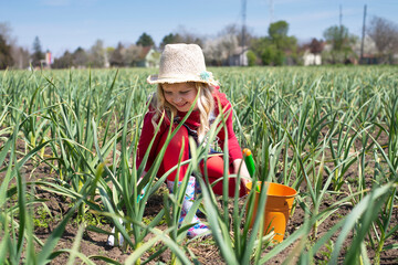 Sweet girl helping with shovel in garden . Children  hoeing weeds in vegetable