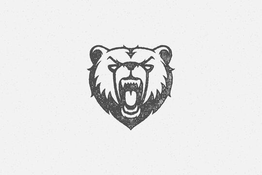 Head angry bear roaring as symbol power wildlife hand drawn stamp effect vector illustration.
