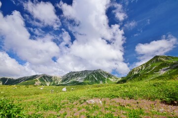 Obraz premium 立山アルパイン 夏景色